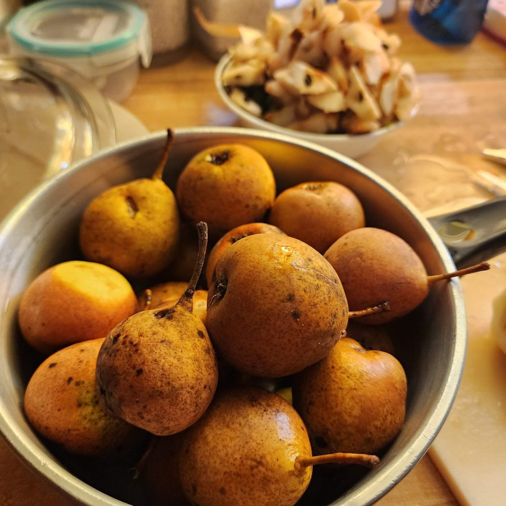 Small pears from the neighbor's yard.